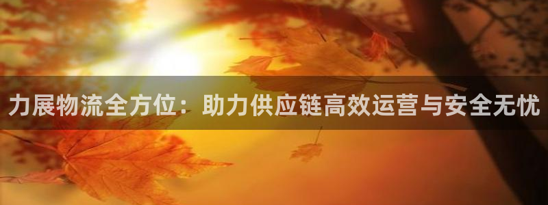 28圈登陆网：力展物流全方位：助力供