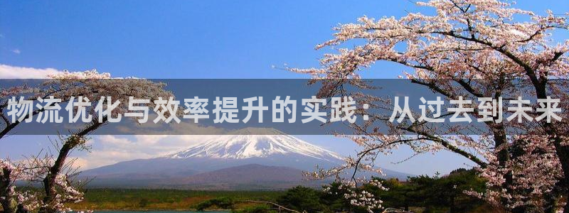 28圈不给提现：物流优化与效率提升的