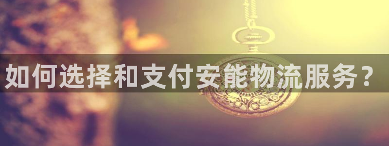 28圈登录网:如何选择和支付安能物流