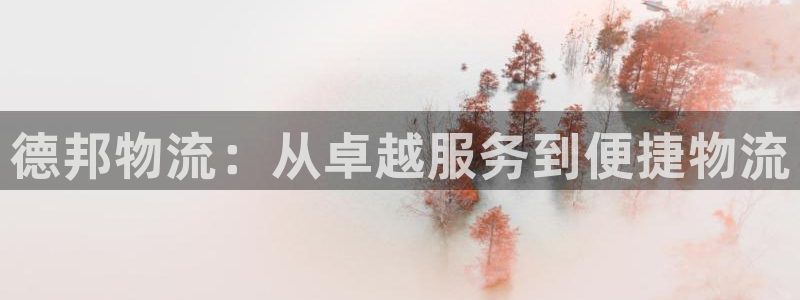 28圈官网版下载：德邦物流：从卓越服