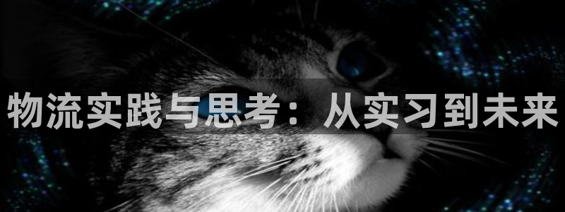 28圈为什么没有赢过一次:物流实践与