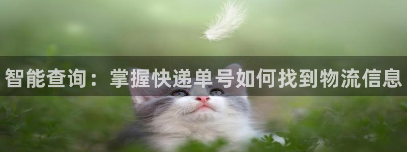 28圈注册网址:智能查询:掌握快递单