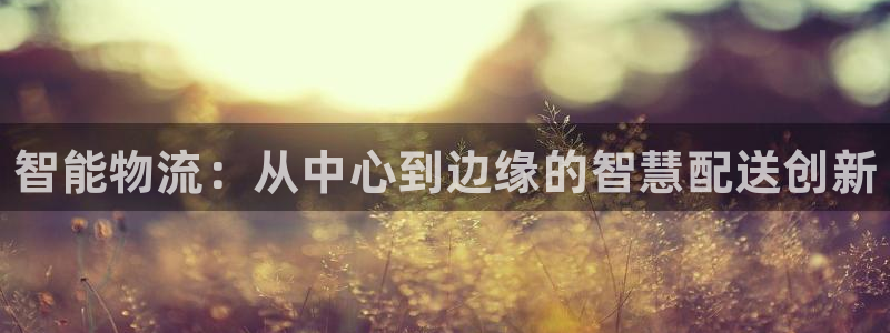 28圈二维码:智能物流:从中心到边缘