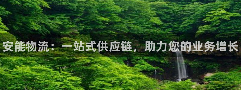 28圈现在狂杀:安能物流:一站式供应