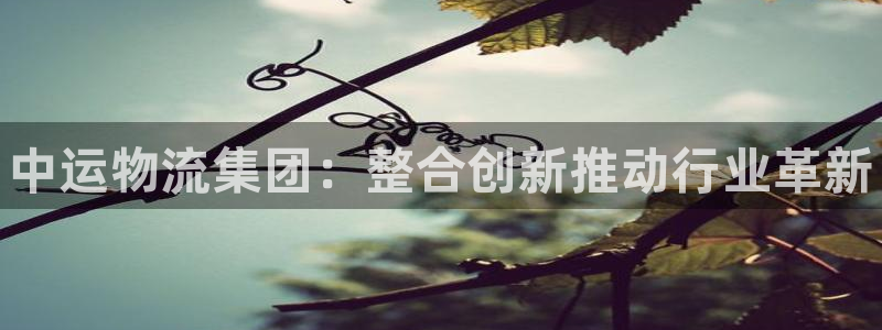 28圈起来的符号:中运物流集团:整合